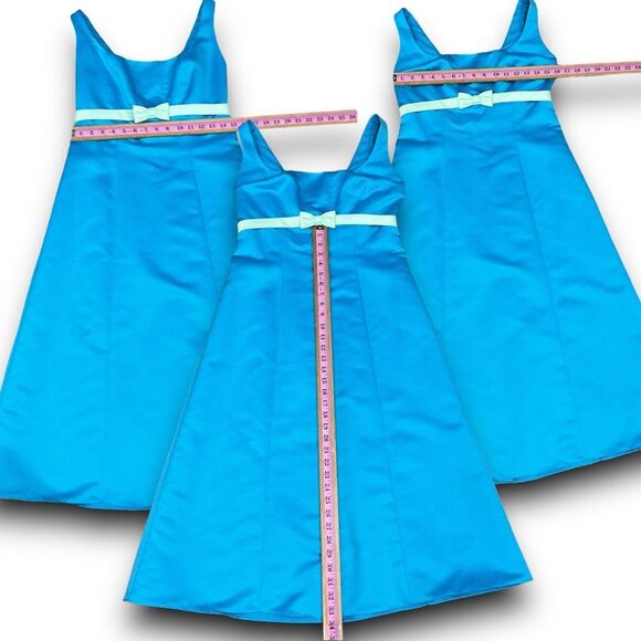 Eden Maids Bridesmaid Edition Retro Vintage Teal with a Light Mint Pale Green Bo - Picture 4 of 10